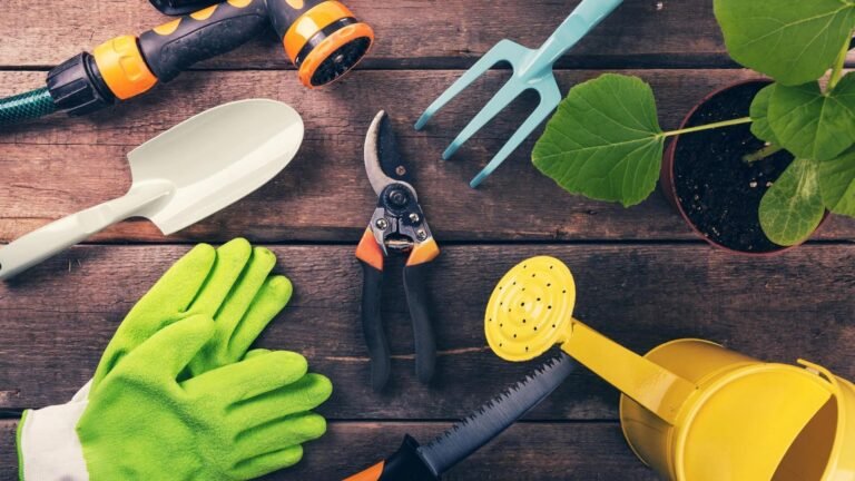 10 Essential Tools for Urban Gardening Success