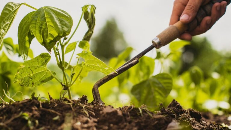 Achieving Pest-Free Gardening: Effective Tips for a Thriving Garden