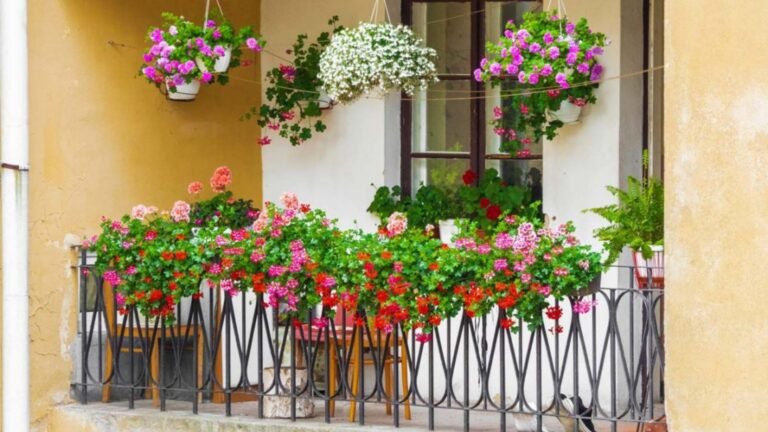 Balcony Flower Gardening: Colorful Small Space Displays