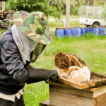 A Beekepper
