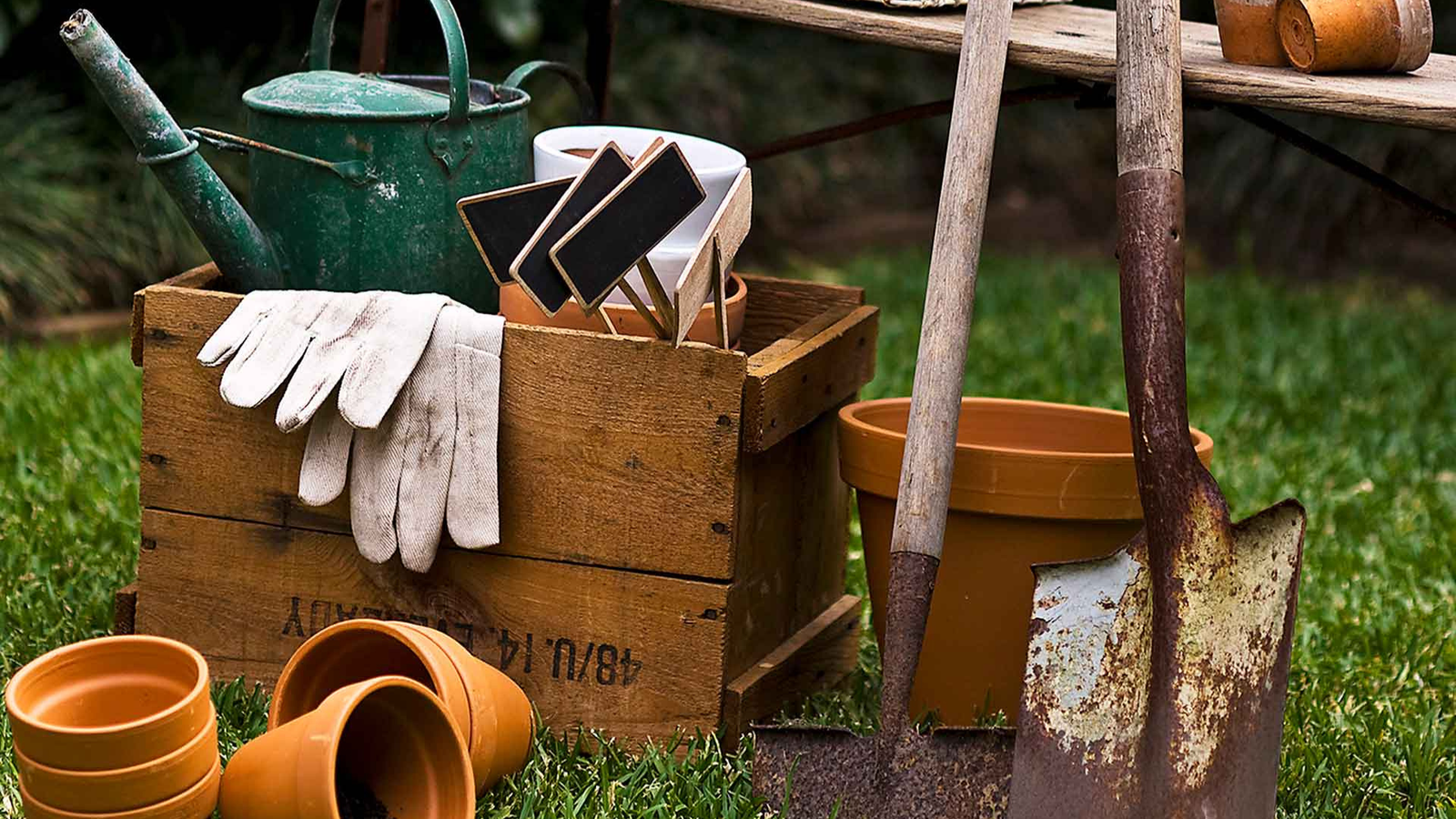 Benefits of Using Manure in Gardens