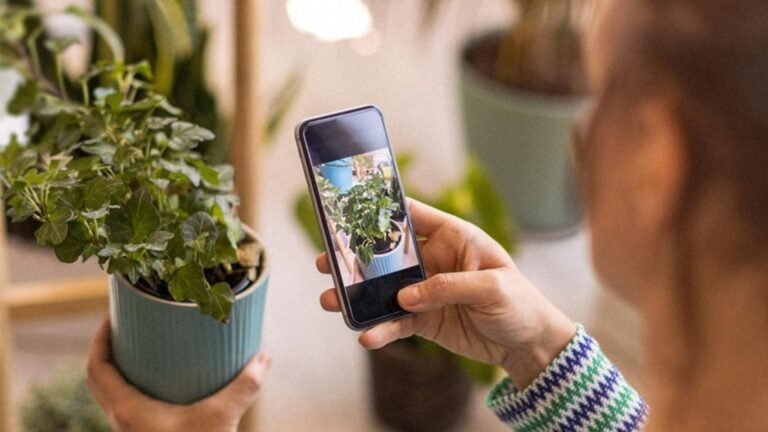 a person holding a phone and a plant showing the best free gardening apps