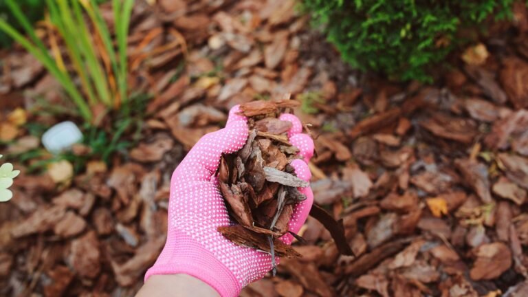 Best Garden Mulching Strategies
