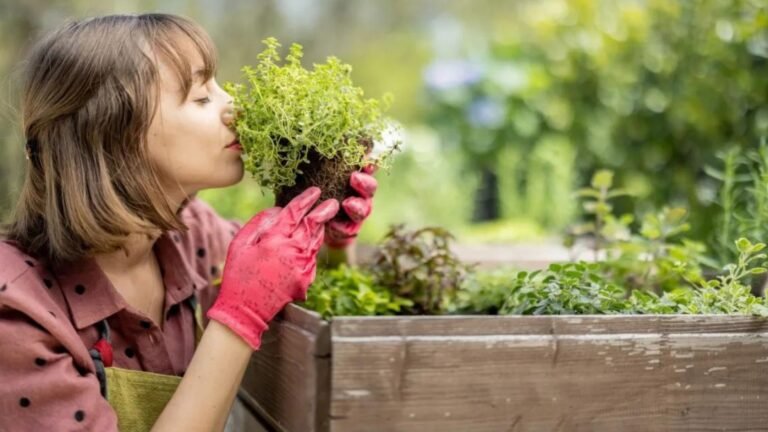 a lady smelling the plants showing Organic Gardening