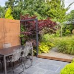 Best Plants for South-Facing Gardens