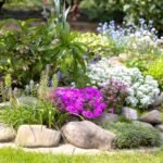 a garden with flowers showing a Firewise Flower Garden