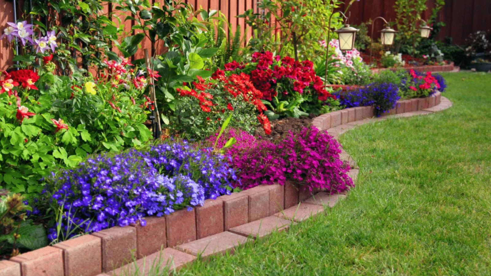 A Flower Garden with a Specific Color Palette