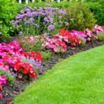 A Xerographic Flower Garden