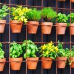 Pots with plants showing Vertical Flower Gardening