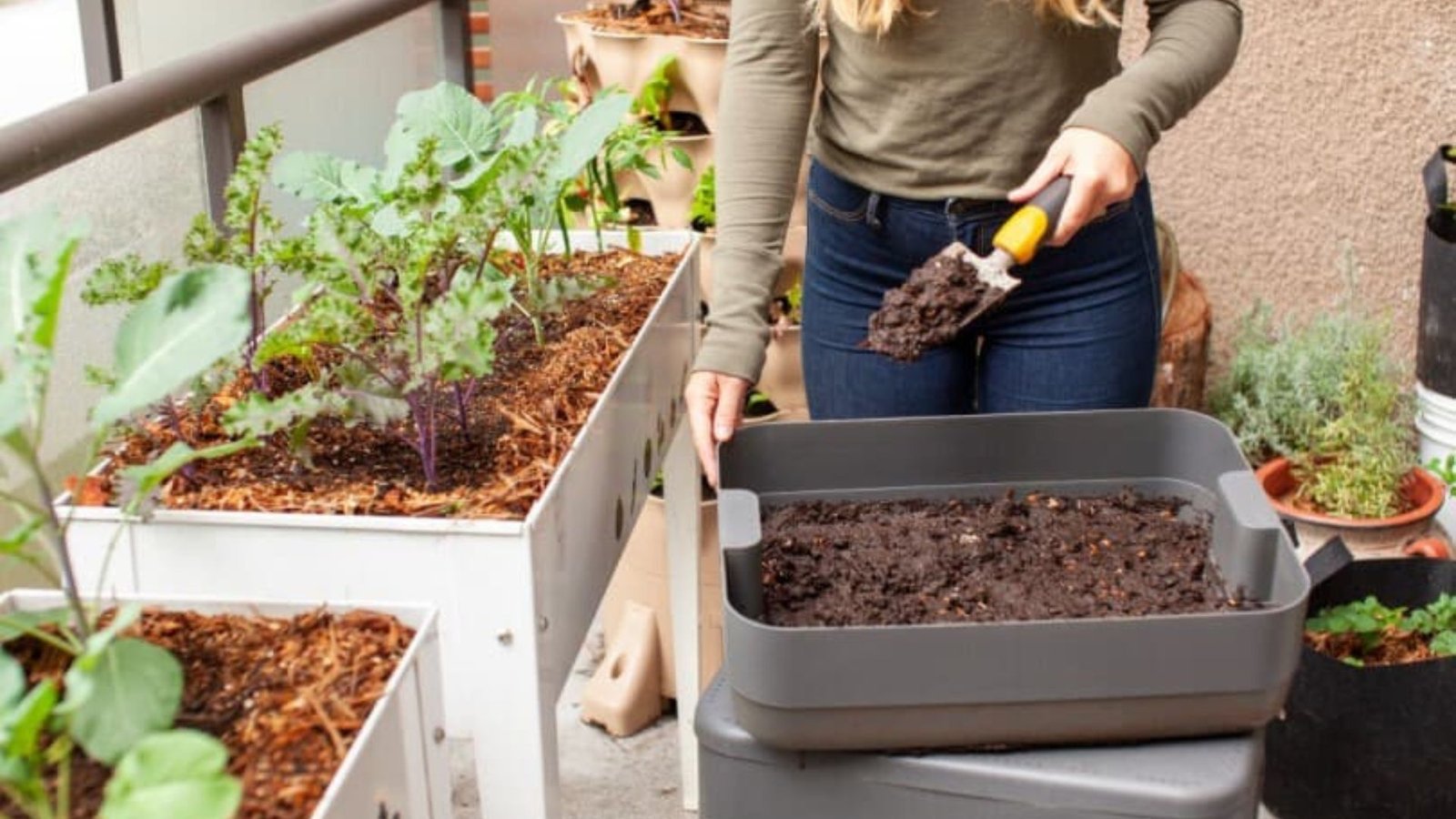 a woman in a garden with plants showing the best Practices for Vertical Gardening in Small Spaces