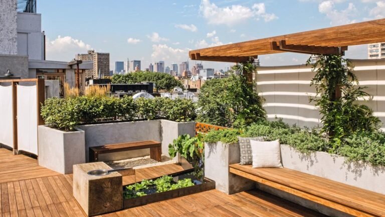 Rooftop Gardening