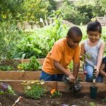 three kids who are gardening