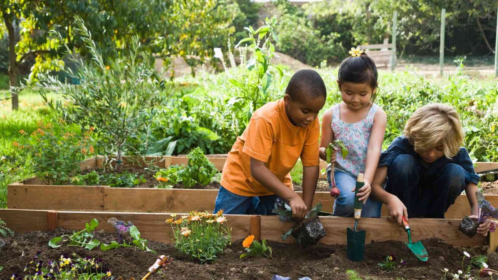 three kids who are gardening