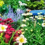 gardening for pollinators with flowers