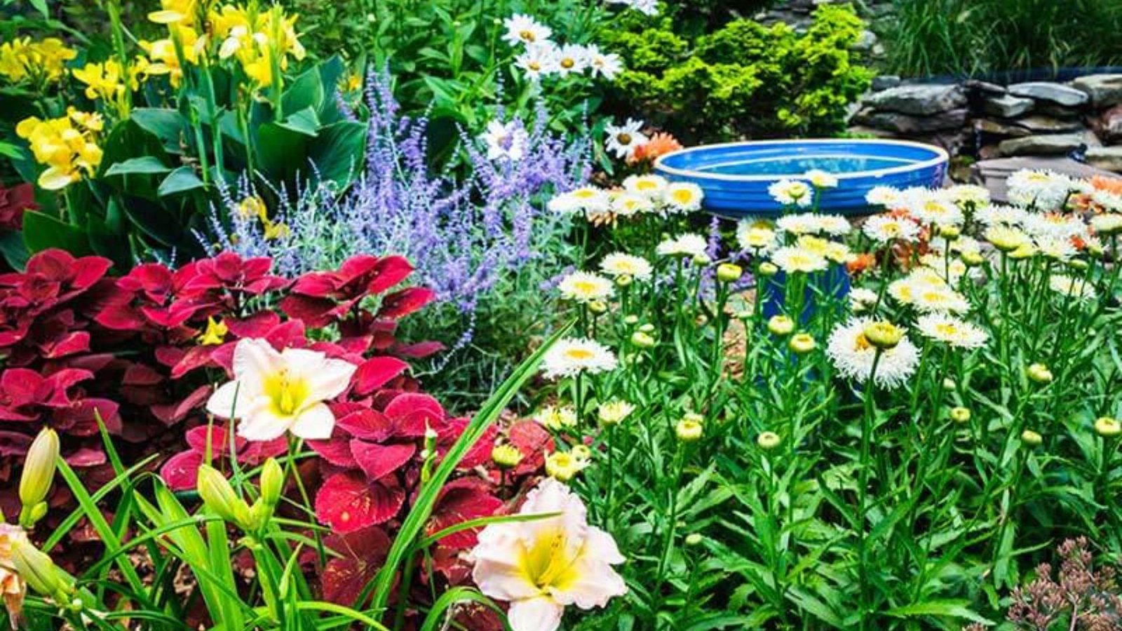 gardening for pollinators with flowers