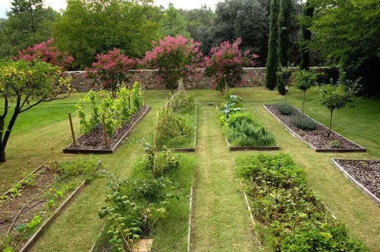 How to Choose the Best Garden Location