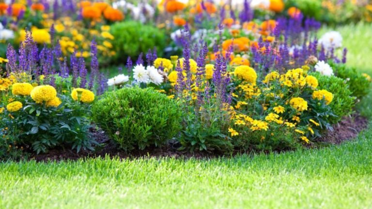 How to Create a Colourful Garden