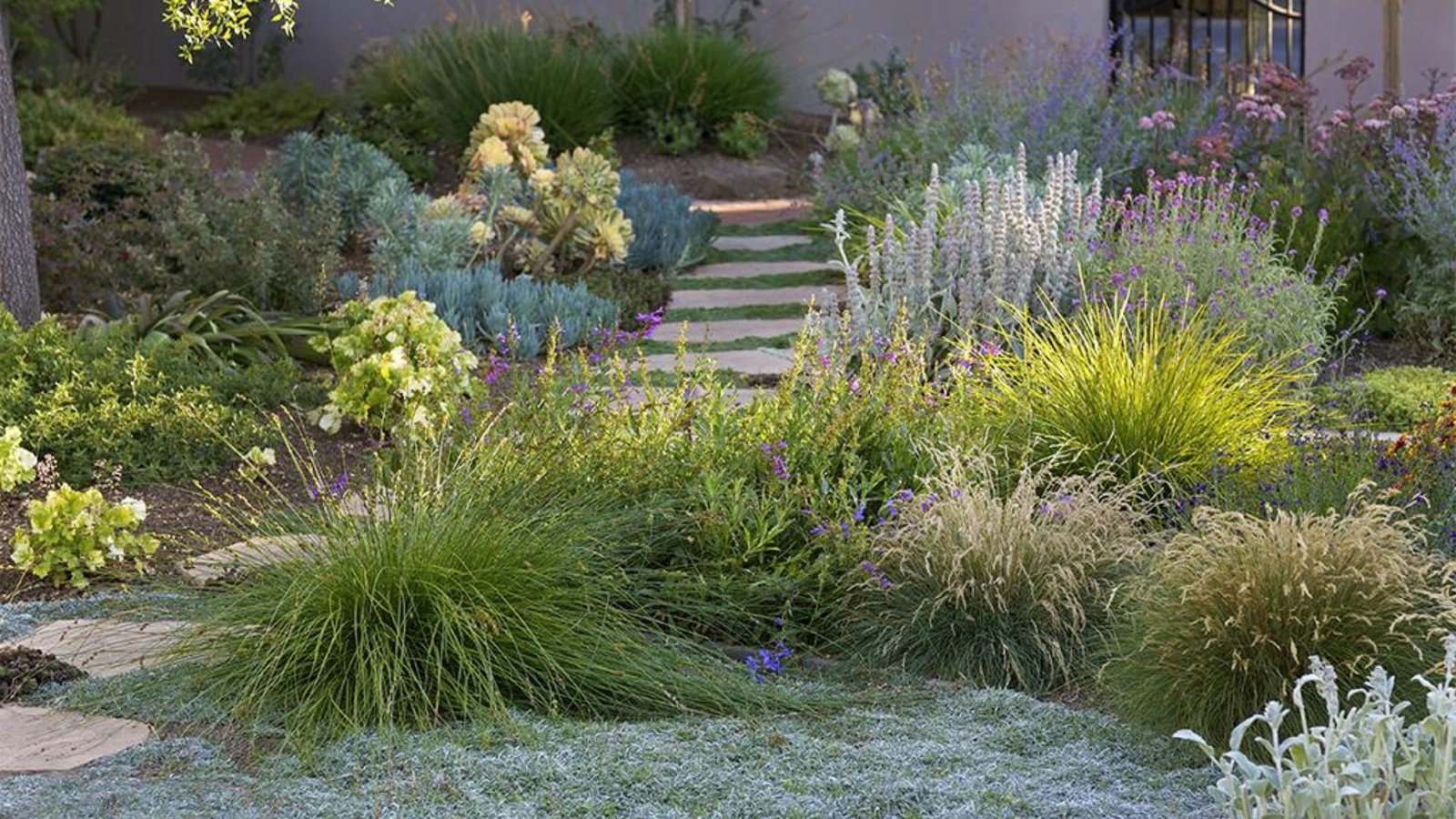 Drought-Resistant Garden