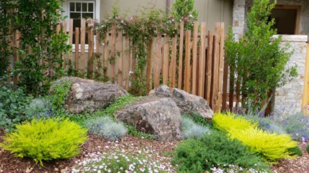 Drought-Resistant Garden