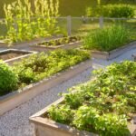 Sustainable Garden