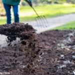 people holding shovels and pick collecting compost