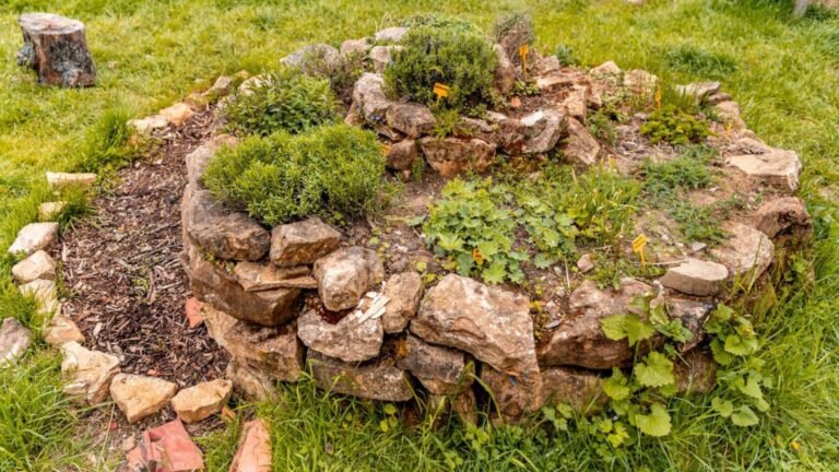 How to Make a Herb Spiral: Space-Saving Gardening