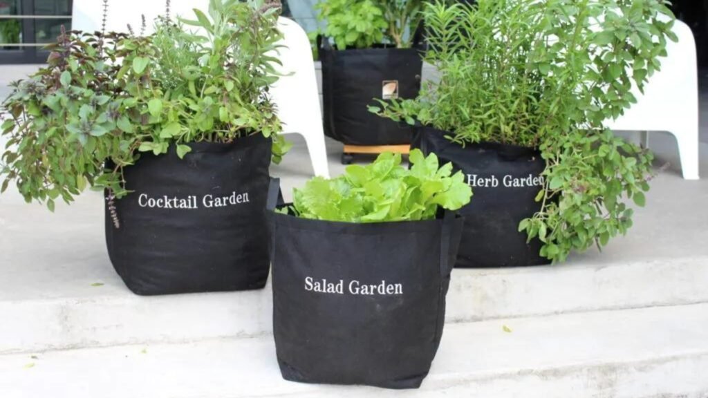 black containers, container gardening 