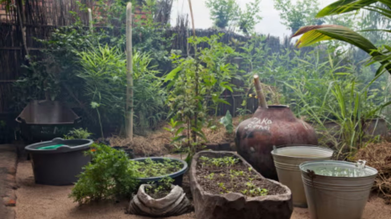 Permaculture Gardening: Designing Sustainable Food Systems - Harris Gardens