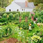 permaculture gardening