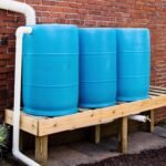 Strategies for Using Rain Barrels in Gardening