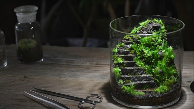 Terrarium Gardening: Miniature Ecosystems in Glass Containers