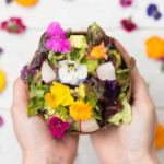 Edible Flowers