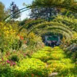 Top 10 Plants for Historic Gardens
