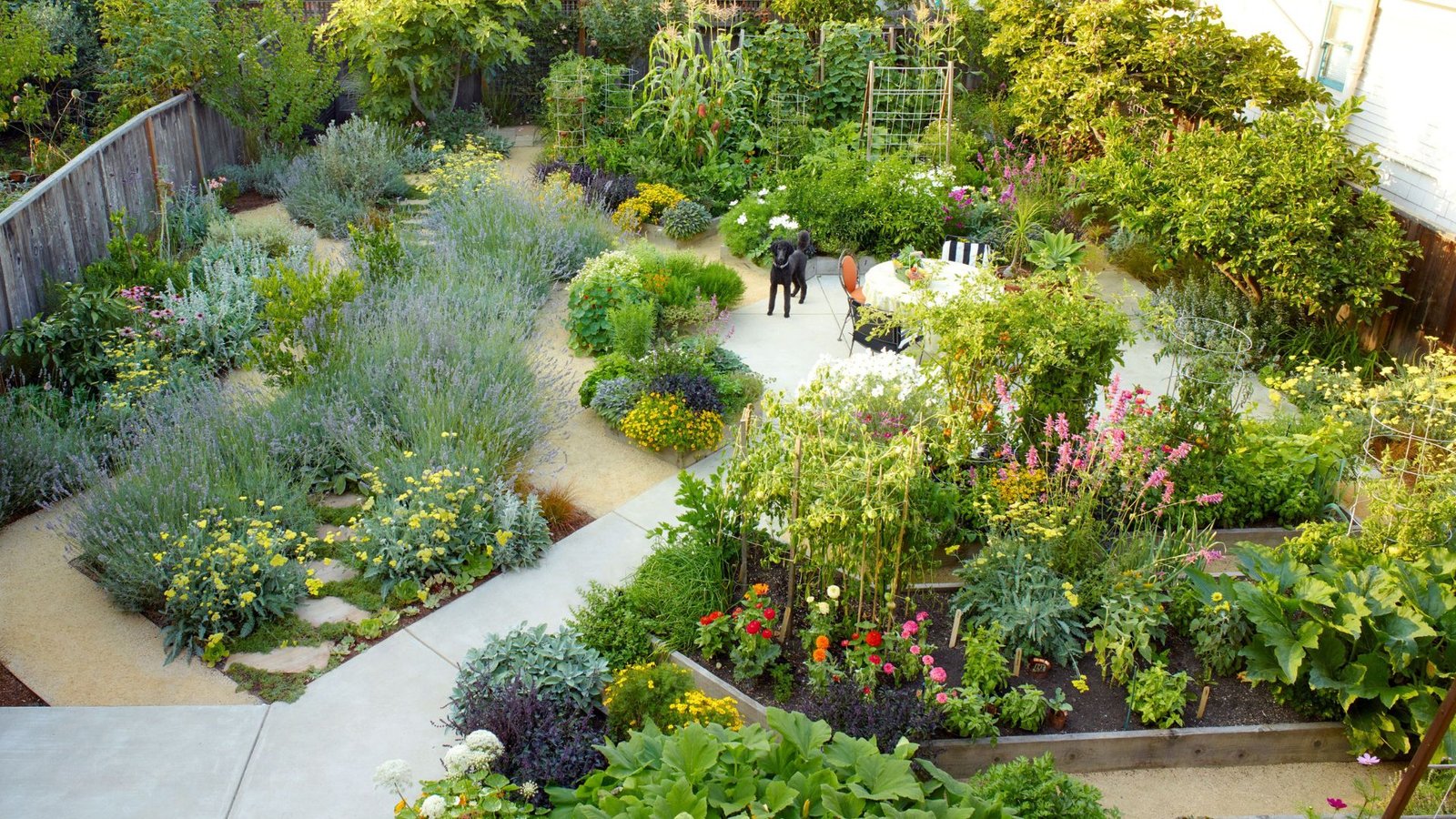 a garden showing creating a sensory garden