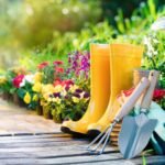 Ways to Start an Organic Garden