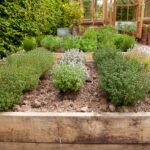 Herb Gardening