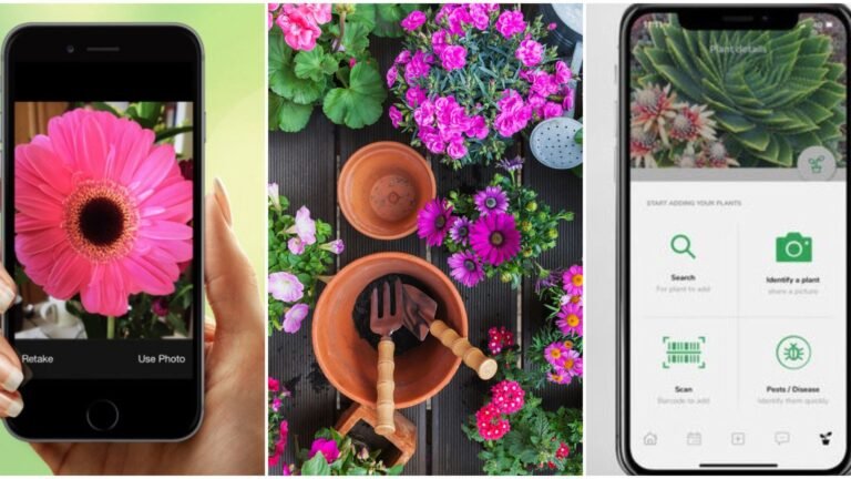 Top Gardening Apps to Enhance Your Green Thumb