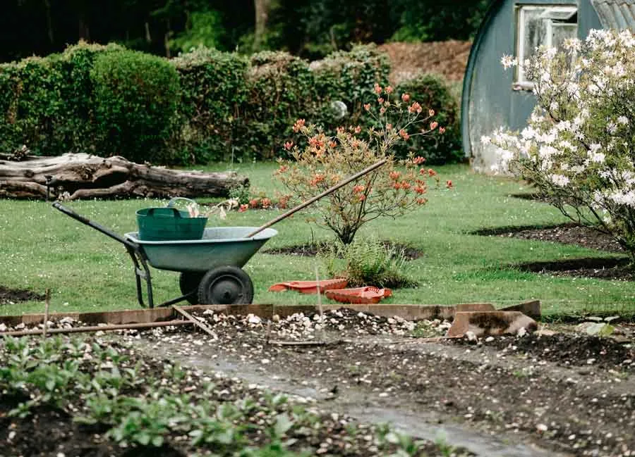 Gardening for Beginners: A Step-by-Step Guide