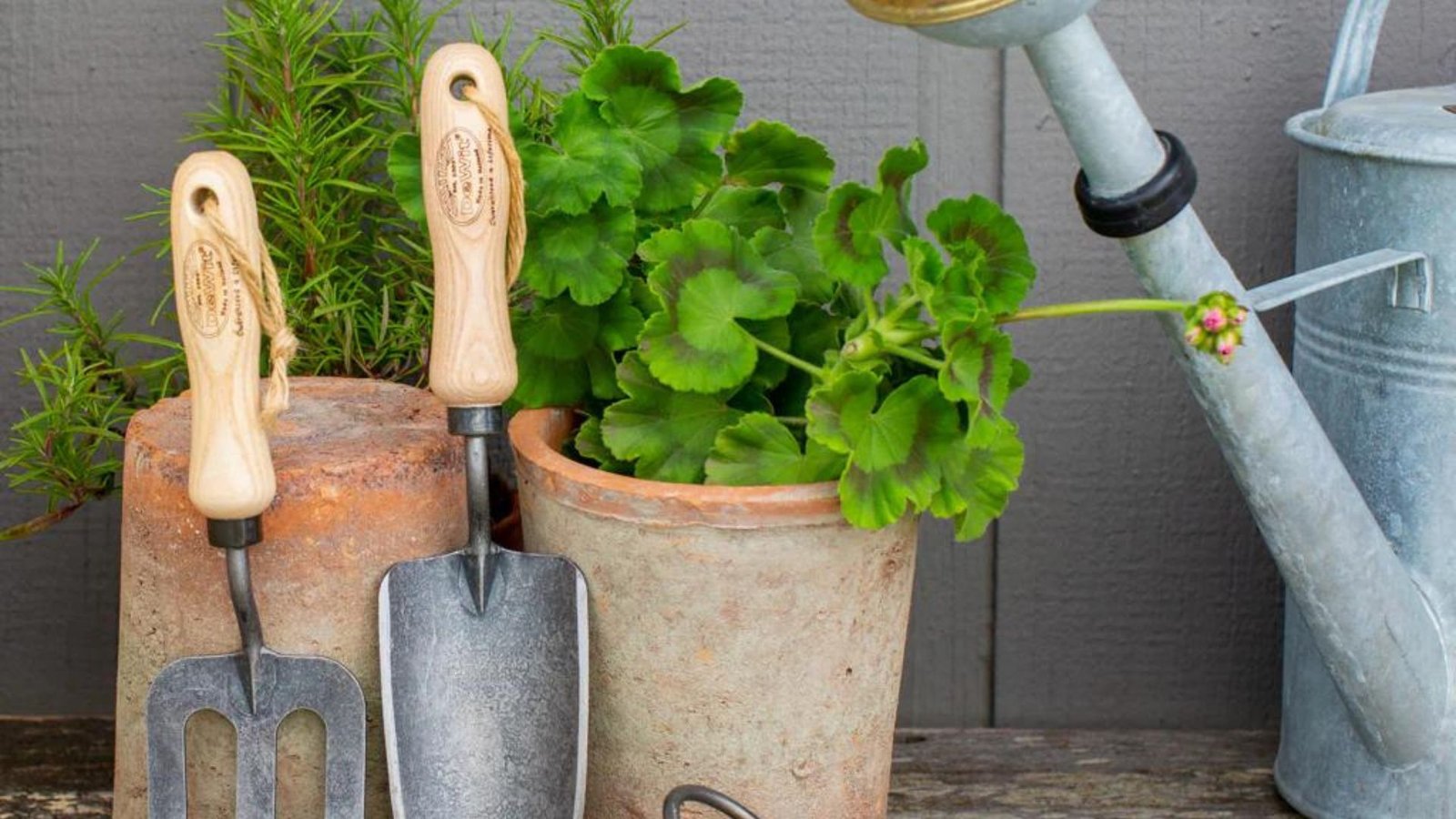  Garden Tools for Beginners