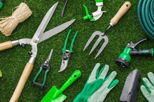 Garden Tools for Beginners