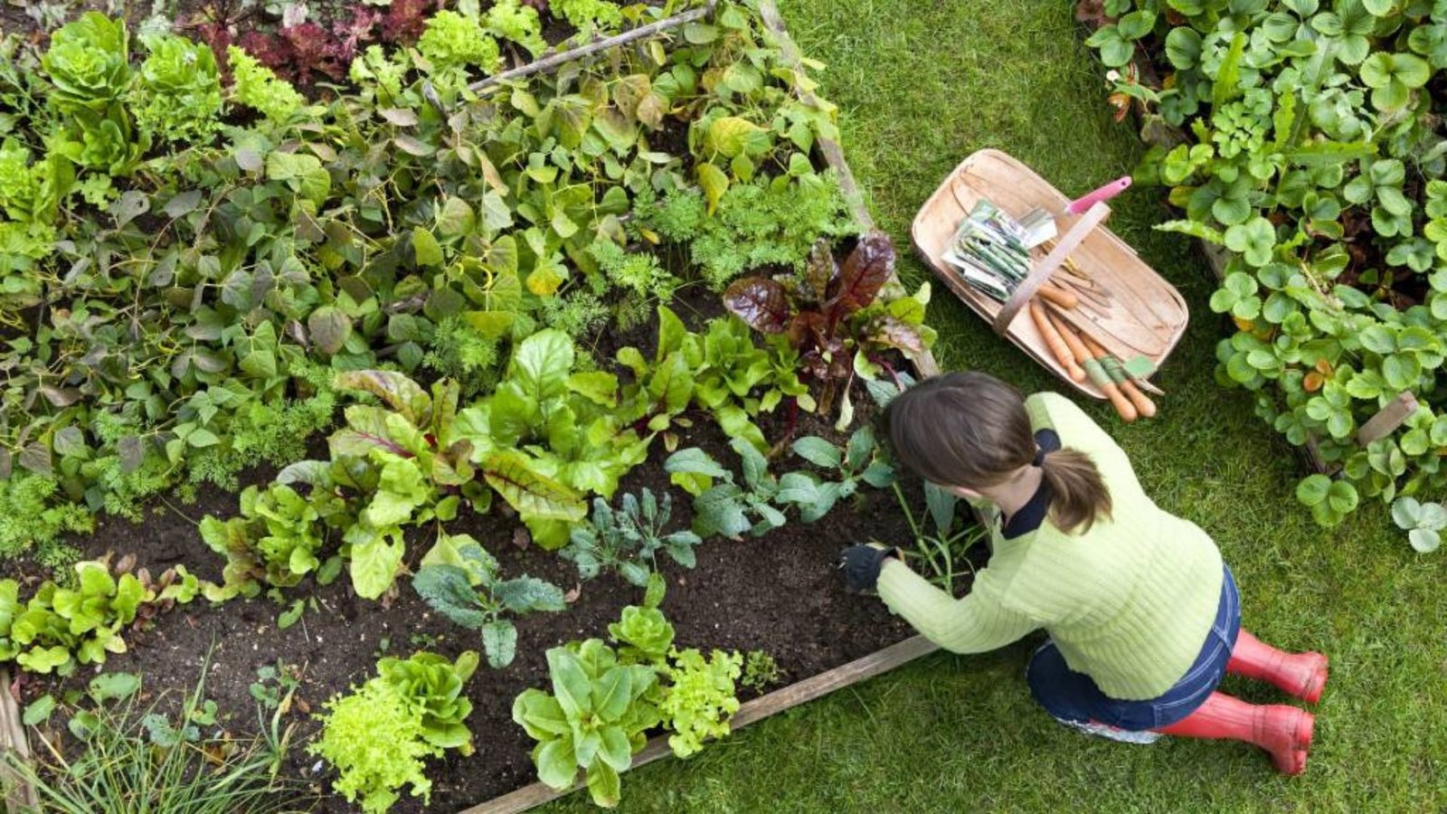 Seasonal Gardening