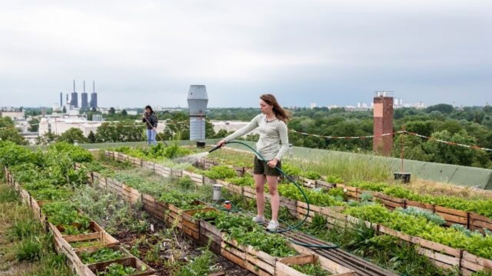 Urban Gardening