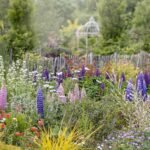 Seasonal Gardening Tips