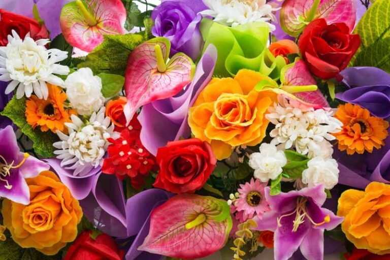 Popular Flower Varieties: Roses, Tulips, Daisies, Lilies, Orchids