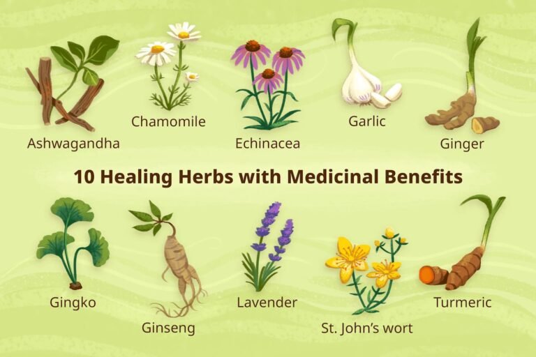 The Role of Plants in Traditional Medicine