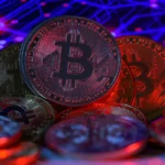 Uncovering Hidden Value: How Crypto Bettors Capitalize on UFC and MMA Underdogs